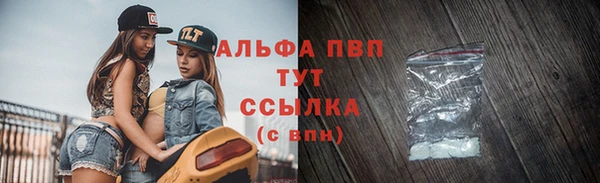 экстази Бородино