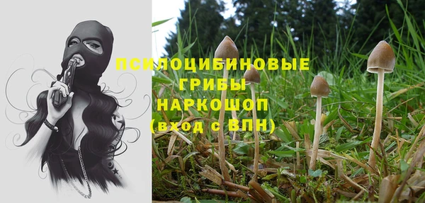 экстази Бородино