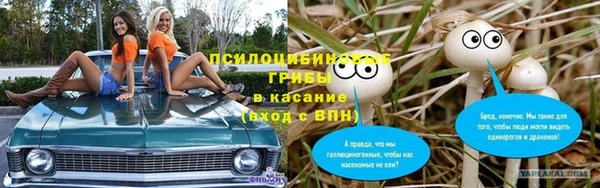 ешки Осташков