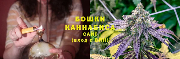 экстази Бородино