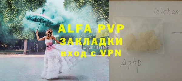 экстази Бородино